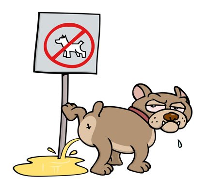 ajarkan perintah anjing