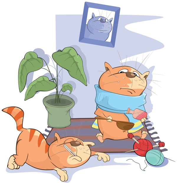 Gejala pada kucing
