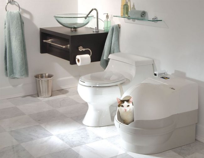 Toilet otomatis untuk kucing