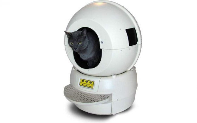 Toilet otomatis untuk kucing