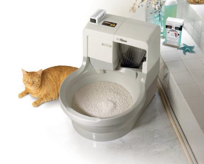 Toilet otomatis untuk kucing