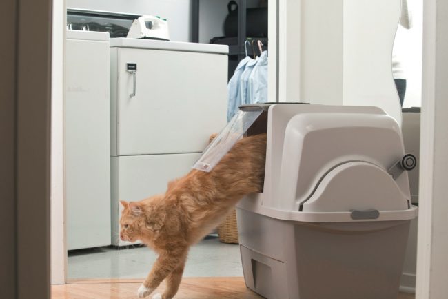Toilet otomatis untuk kucing