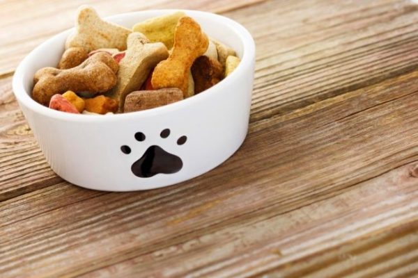 Makanan anjing