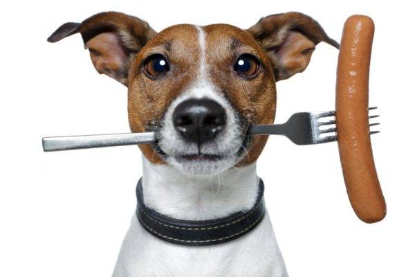 Sosis untuk anjing