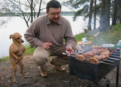 Anjing itu membantu memasak barbekyu