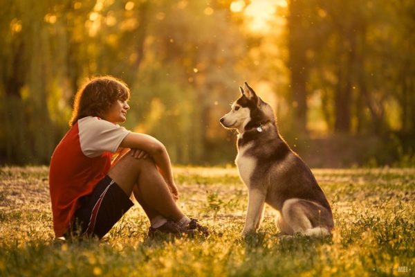Bagaimana menjadi pemimpin bagi anjing, baca artikel