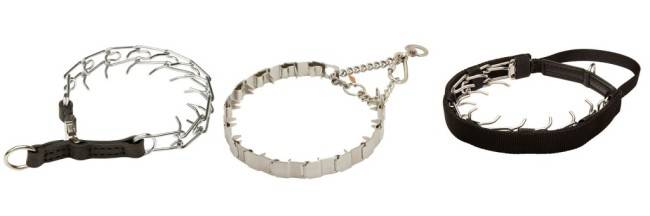 Dog Collar Parfors