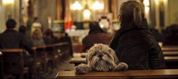 Anjing dalam Agama