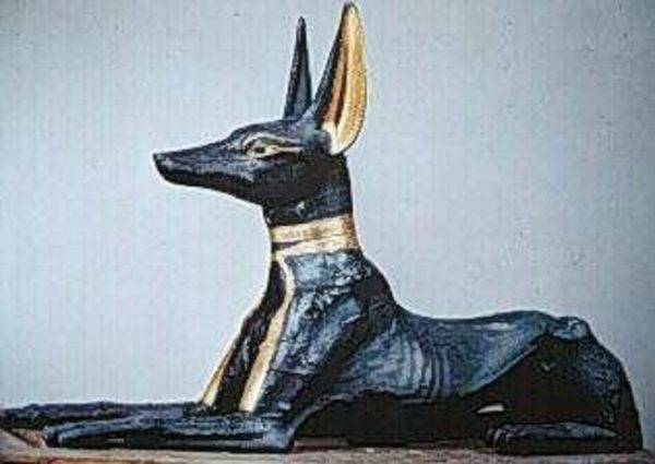 Anjing dan agama