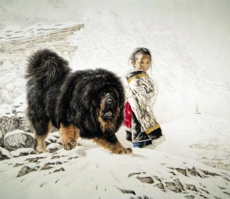 Mastiff Tibet menjaga seorang anak di pegunungan bersalju